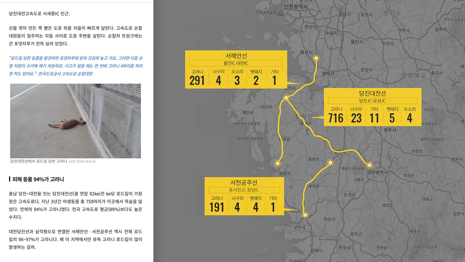 데이터로 찾아낸 로드킬 고속도로